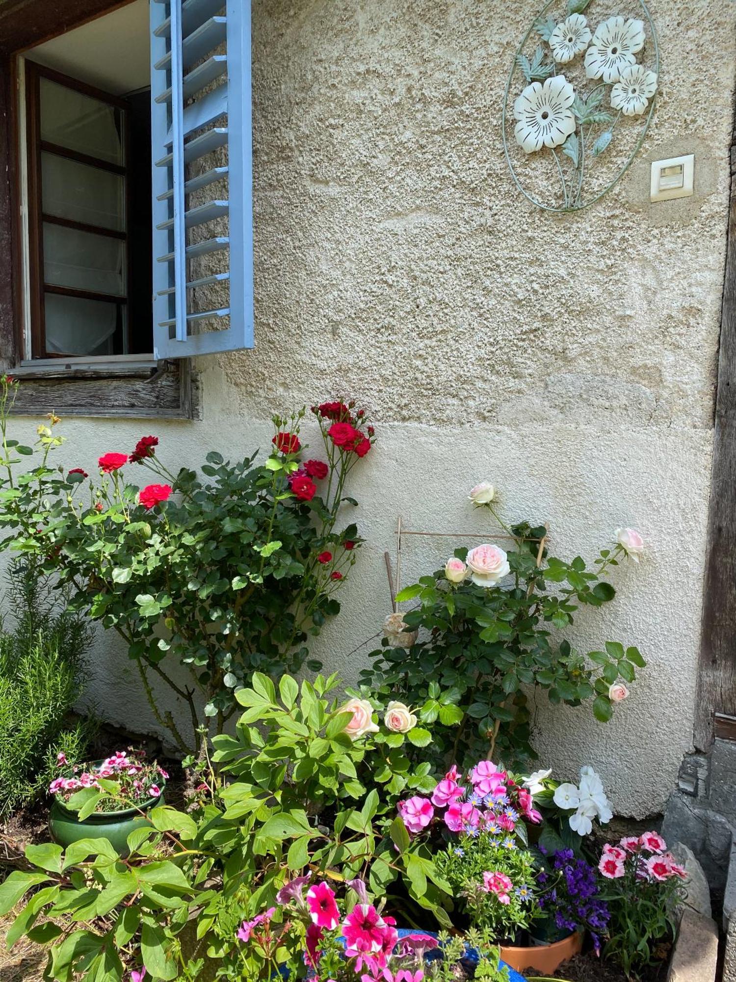 B&B De Charme La Maison Des 5 Temps Ferrette Habitación foto